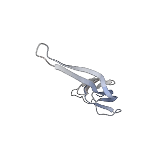 21628_6wd9_r_v1-2
Cryo-EM of elongating ribosome with EF-Tu*GTP elucidates tRNA proofreading (Cognate Structure III-B)