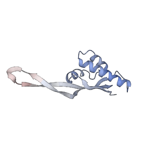 21628_6wd9_s_v1-2
Cryo-EM of elongating ribosome with EF-Tu*GTP elucidates tRNA proofreading (Cognate Structure III-B)