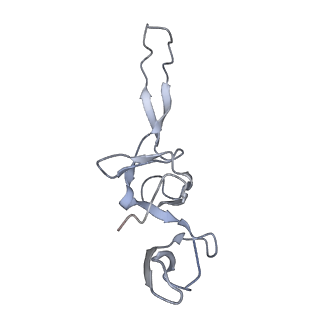 21628_6wd9_u_v1-2
Cryo-EM of elongating ribosome with EF-Tu*GTP elucidates tRNA proofreading (Cognate Structure III-B)
