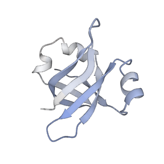 21628_6wd9_v_v1-2
Cryo-EM of elongating ribosome with EF-Tu*GTP elucidates tRNA proofreading (Cognate Structure III-B)