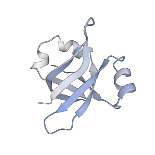 21628_6wd9_v_v1-3
Cryo-EM of elongating ribosome with EF-Tu*GTP elucidates tRNA proofreading (Cognate Structure III-B)