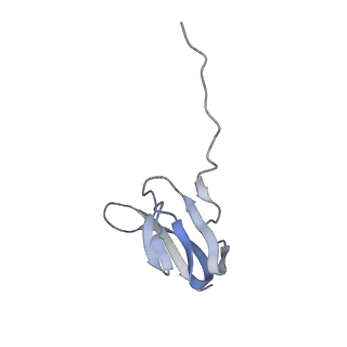 21628_6wd9_w_v1-2
Cryo-EM of elongating ribosome with EF-Tu*GTP elucidates tRNA proofreading (Cognate Structure III-B)
