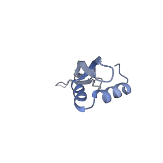 21628_6wd9_x_v1-3
Cryo-EM of elongating ribosome with EF-Tu*GTP elucidates tRNA proofreading (Cognate Structure III-B)