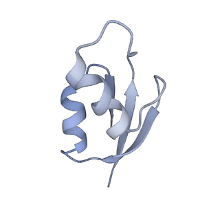 21628_6wd9_z_v1-2
Cryo-EM of elongating ribosome with EF-Tu*GTP elucidates tRNA proofreading (Cognate Structure III-B)
