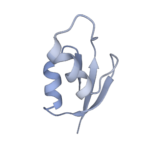 21628_6wd9_z_v1-3
Cryo-EM of elongating ribosome with EF-Tu*GTP elucidates tRNA proofreading (Cognate Structure III-B)