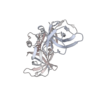 21629_6wda_8_v1-3
Cryo-EM of elongating ribosome with EF-Tu*GTP elucidates tRNA proofreading (Cognate Structure III-C)