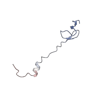 21629_6wda_B_v1-3
Cryo-EM of elongating ribosome with EF-Tu*GTP elucidates tRNA proofreading (Cognate Structure III-C)