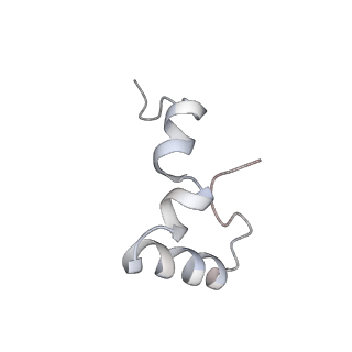 21629_6wda_D_v1-2
Cryo-EM of elongating ribosome with EF-Tu*GTP elucidates tRNA proofreading (Cognate Structure III-C)