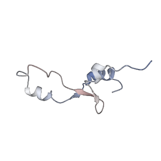 21629_6wda_E_v1-2
Cryo-EM of elongating ribosome with EF-Tu*GTP elucidates tRNA proofreading (Cognate Structure III-C)