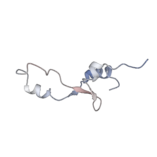 21629_6wda_E_v1-3
Cryo-EM of elongating ribosome with EF-Tu*GTP elucidates tRNA proofreading (Cognate Structure III-C)