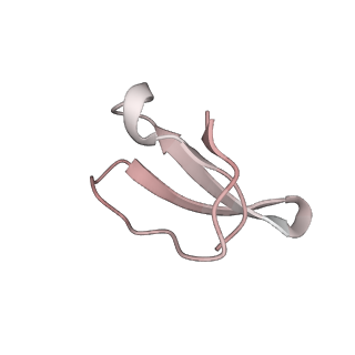 21629_6wda_F_v1-3
Cryo-EM of elongating ribosome with EF-Tu*GTP elucidates tRNA proofreading (Cognate Structure III-C)