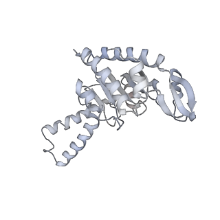 21629_6wda_G_v1-2
Cryo-EM of elongating ribosome with EF-Tu*GTP elucidates tRNA proofreading (Cognate Structure III-C)