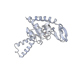 21629_6wda_G_v1-3
Cryo-EM of elongating ribosome with EF-Tu*GTP elucidates tRNA proofreading (Cognate Structure III-C)