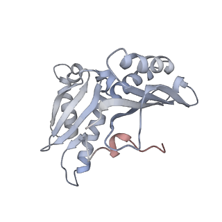 21629_6wda_H_v1-2
Cryo-EM of elongating ribosome with EF-Tu*GTP elucidates tRNA proofreading (Cognate Structure III-C)