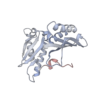 21629_6wda_H_v1-3
Cryo-EM of elongating ribosome with EF-Tu*GTP elucidates tRNA proofreading (Cognate Structure III-C)