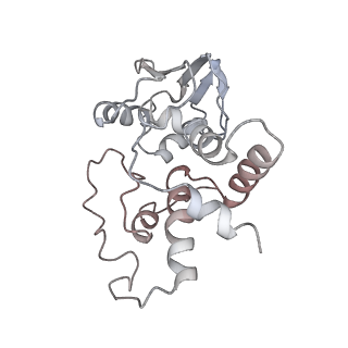 21629_6wda_I_v1-2
Cryo-EM of elongating ribosome with EF-Tu*GTP elucidates tRNA proofreading (Cognate Structure III-C)