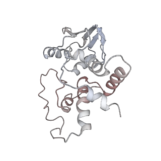 21629_6wda_I_v1-3
Cryo-EM of elongating ribosome with EF-Tu*GTP elucidates tRNA proofreading (Cognate Structure III-C)