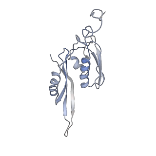21629_6wda_J_v1-2
Cryo-EM of elongating ribosome with EF-Tu*GTP elucidates tRNA proofreading (Cognate Structure III-C)