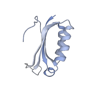 21629_6wda_K_v1-2
Cryo-EM of elongating ribosome with EF-Tu*GTP elucidates tRNA proofreading (Cognate Structure III-C)
