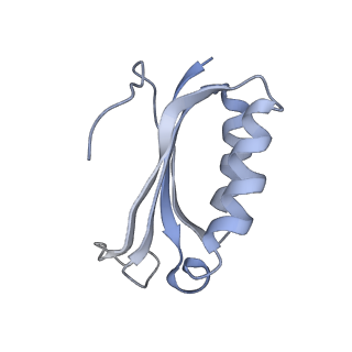 21629_6wda_K_v1-3
Cryo-EM of elongating ribosome with EF-Tu*GTP elucidates tRNA proofreading (Cognate Structure III-C)