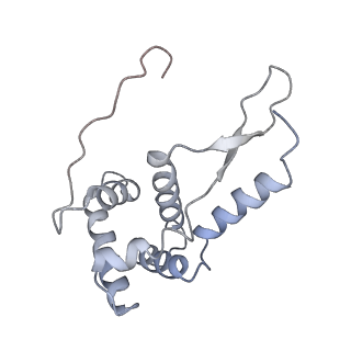 21629_6wda_L_v1-2
Cryo-EM of elongating ribosome with EF-Tu*GTP elucidates tRNA proofreading (Cognate Structure III-C)