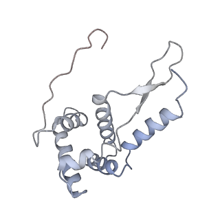 21629_6wda_L_v1-3
Cryo-EM of elongating ribosome with EF-Tu*GTP elucidates tRNA proofreading (Cognate Structure III-C)