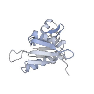 21629_6wda_M_v1-2
Cryo-EM of elongating ribosome with EF-Tu*GTP elucidates tRNA proofreading (Cognate Structure III-C)