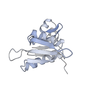 21629_6wda_M_v1-3
Cryo-EM of elongating ribosome with EF-Tu*GTP elucidates tRNA proofreading (Cognate Structure III-C)