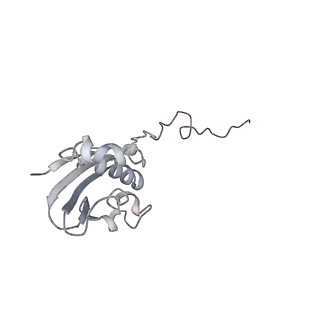 21629_6wda_N_v1-2
Cryo-EM of elongating ribosome with EF-Tu*GTP elucidates tRNA proofreading (Cognate Structure III-C)