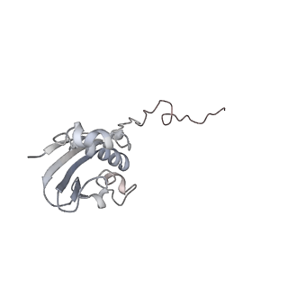 21629_6wda_N_v1-3
Cryo-EM of elongating ribosome with EF-Tu*GTP elucidates tRNA proofreading (Cognate Structure III-C)