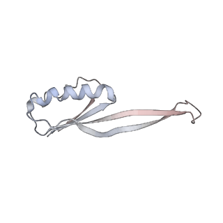 21629_6wda_O_v1-2
Cryo-EM of elongating ribosome with EF-Tu*GTP elucidates tRNA proofreading (Cognate Structure III-C)