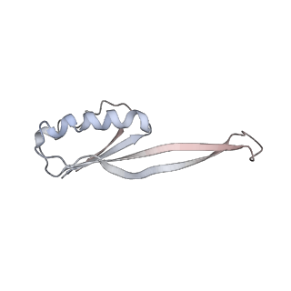 21629_6wda_O_v1-3
Cryo-EM of elongating ribosome with EF-Tu*GTP elucidates tRNA proofreading (Cognate Structure III-C)