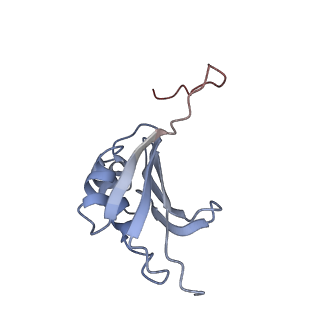 21629_6wda_P_v1-2
Cryo-EM of elongating ribosome with EF-Tu*GTP elucidates tRNA proofreading (Cognate Structure III-C)