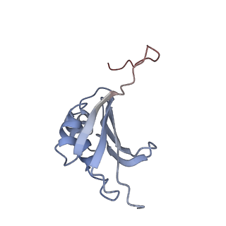 21629_6wda_P_v1-3
Cryo-EM of elongating ribosome with EF-Tu*GTP elucidates tRNA proofreading (Cognate Structure III-C)