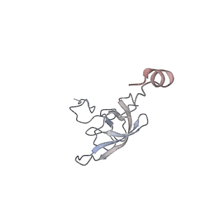 21629_6wda_Q_v1-2
Cryo-EM of elongating ribosome with EF-Tu*GTP elucidates tRNA proofreading (Cognate Structure III-C)