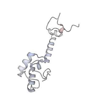 21629_6wda_R_v1-2
Cryo-EM of elongating ribosome with EF-Tu*GTP elucidates tRNA proofreading (Cognate Structure III-C)