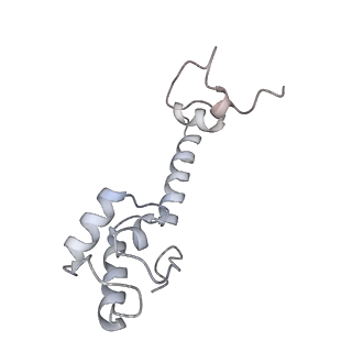 21629_6wda_R_v1-3
Cryo-EM of elongating ribosome with EF-Tu*GTP elucidates tRNA proofreading (Cognate Structure III-C)