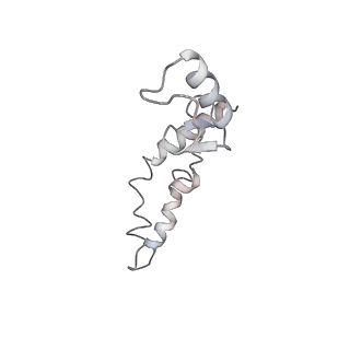 21629_6wda_S_v1-2
Cryo-EM of elongating ribosome with EF-Tu*GTP elucidates tRNA proofreading (Cognate Structure III-C)