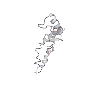 21629_6wda_S_v1-3
Cryo-EM of elongating ribosome with EF-Tu*GTP elucidates tRNA proofreading (Cognate Structure III-C)