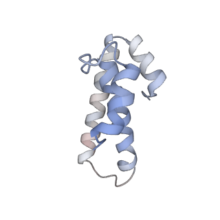 21629_6wda_T_v1-2
Cryo-EM of elongating ribosome with EF-Tu*GTP elucidates tRNA proofreading (Cognate Structure III-C)