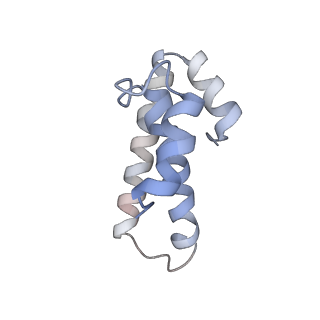 21629_6wda_T_v1-3
Cryo-EM of elongating ribosome with EF-Tu*GTP elucidates tRNA proofreading (Cognate Structure III-C)