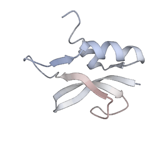 21629_6wda_U_v1-2
Cryo-EM of elongating ribosome with EF-Tu*GTP elucidates tRNA proofreading (Cognate Structure III-C)