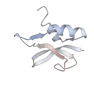 21629_6wda_U_v1-3
Cryo-EM of elongating ribosome with EF-Tu*GTP elucidates tRNA proofreading (Cognate Structure III-C)