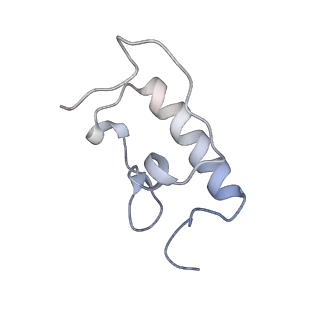 21629_6wda_W_v1-2
Cryo-EM of elongating ribosome with EF-Tu*GTP elucidates tRNA proofreading (Cognate Structure III-C)