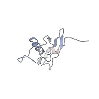 21629_6wda_X_v1-2
Cryo-EM of elongating ribosome with EF-Tu*GTP elucidates tRNA proofreading (Cognate Structure III-C)