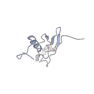 21629_6wda_X_v1-3
Cryo-EM of elongating ribosome with EF-Tu*GTP elucidates tRNA proofreading (Cognate Structure III-C)