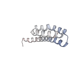 21629_6wda_Y_v1-2
Cryo-EM of elongating ribosome with EF-Tu*GTP elucidates tRNA proofreading (Cognate Structure III-C)