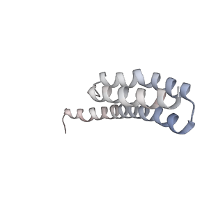 21629_6wda_Y_v1-3
Cryo-EM of elongating ribosome with EF-Tu*GTP elucidates tRNA proofreading (Cognate Structure III-C)