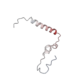 21629_6wda_Z_v1-2
Cryo-EM of elongating ribosome with EF-Tu*GTP elucidates tRNA proofreading (Cognate Structure III-C)
