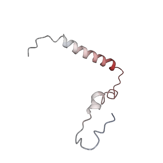 21629_6wda_Z_v1-3
Cryo-EM of elongating ribosome with EF-Tu*GTP elucidates tRNA proofreading (Cognate Structure III-C)